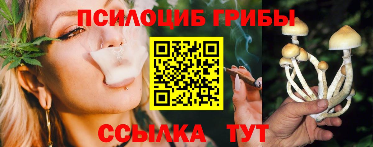 Галлюциногенные грибы Cubensis Волгодонск